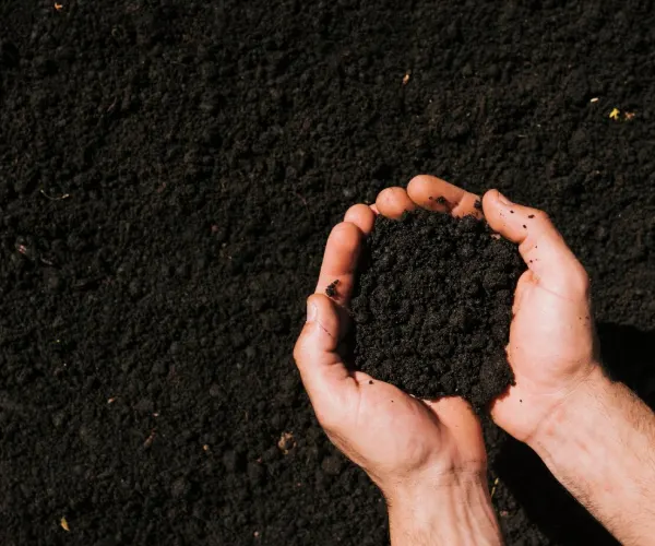 Regenerative organic farming · Kerala